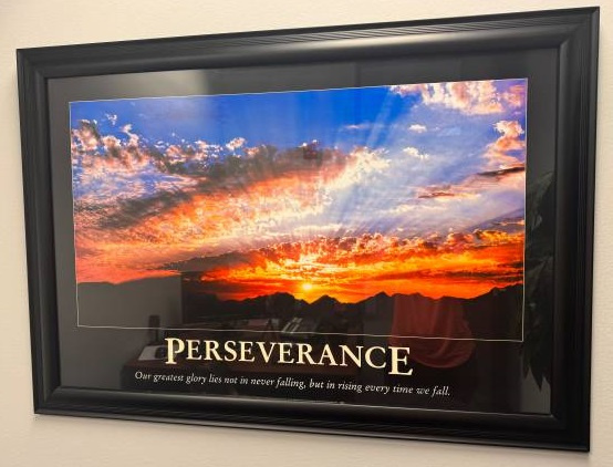 Chicagoland Showcase Artwork